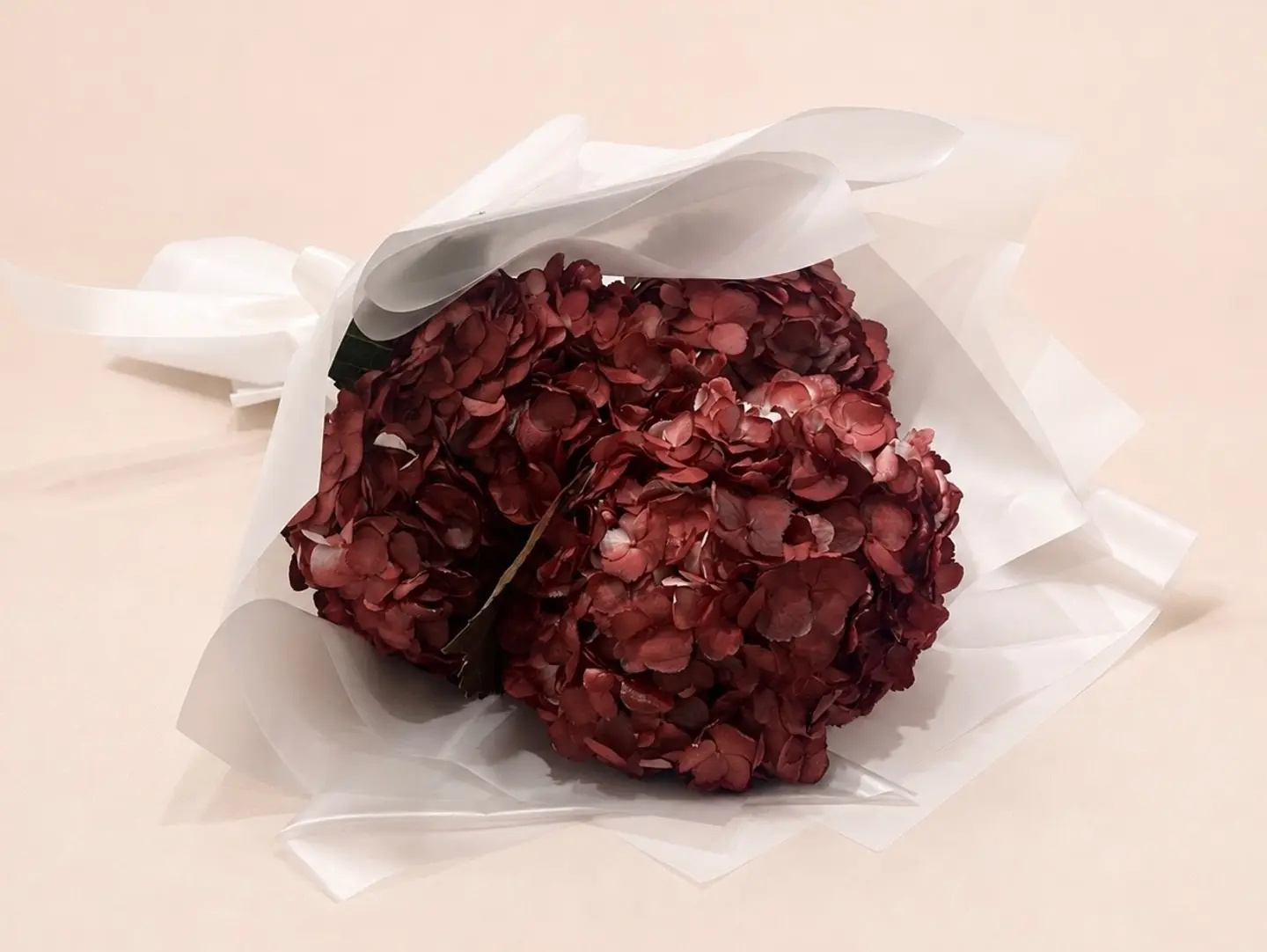 باقة هدرنجا بورغندي